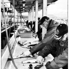 Fishing at Seward 2